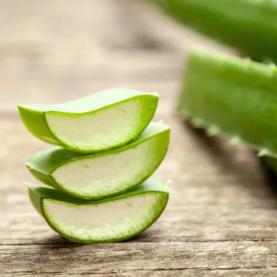 aloe vera sliced and stacked featured as an ingredient of tanit's after sun soothing aloe mist